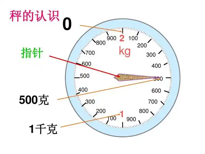 秤的认识 指针 0 800 700 600 500 400 900   kg 100 200 300 400 500