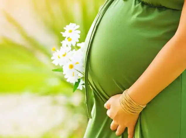 1,尿频准妈妈在怀孕以后,到了怀孕第2个月的时候,胎宝宝发育进入第一