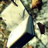 微信头像书本唯美意境【点击鼠标右键下载】