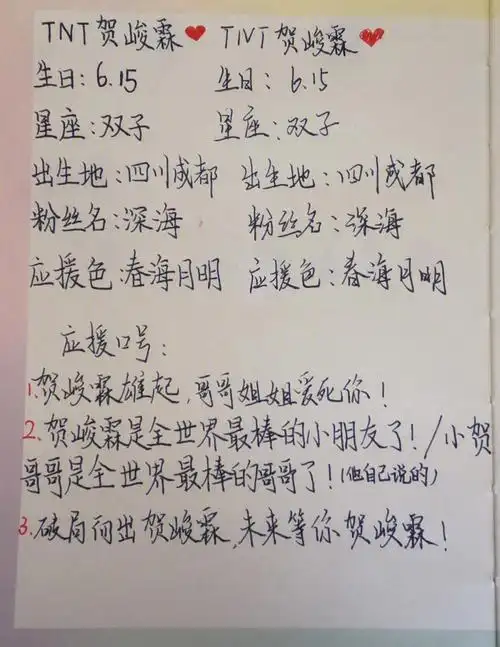 时代少年团贺峻霖代写