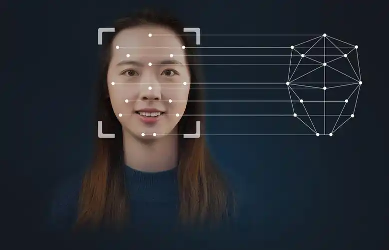 云天励飞静态人像识别解决方案