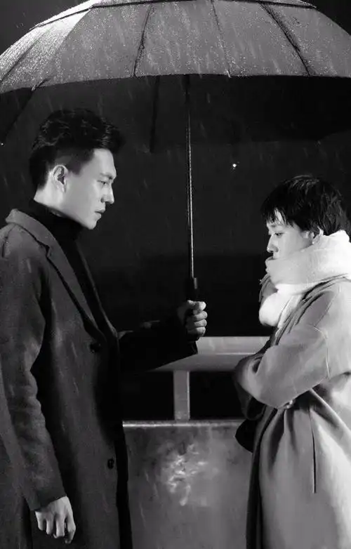 贺涵&罗子君:那些吃"窝边草"的爱情,最后都怎么样了?