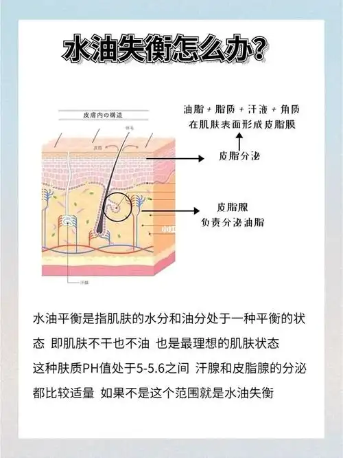 皮肤知识|如何让皮肤保持水油平衡?