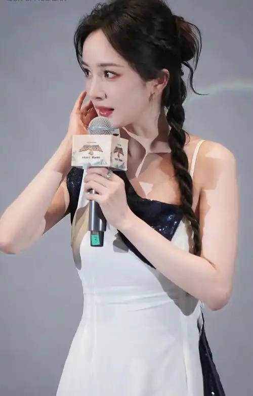 《功夫熊猫4》在北京举办中国首映礼 黄渤,杨幂,蒋欣出席