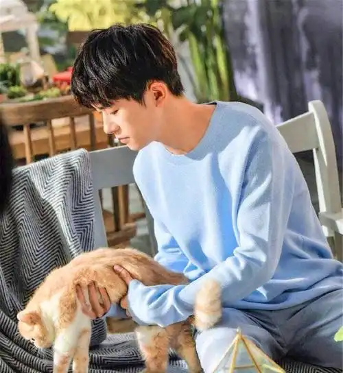 易烊千玺与橘猫互动,举止十分温柔,暖化粉丝的心!