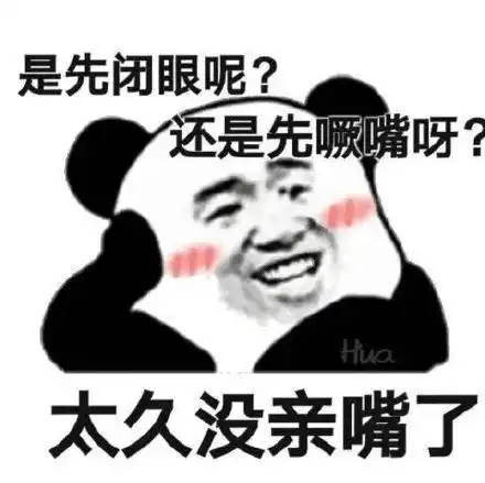 还是先噘嘴呀?hua 太久没亲嘴了(熊猫头)表情包-表情包网站