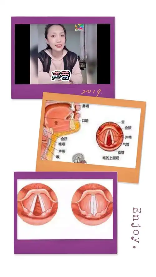 春风缕缕 播种梦想|陕西省小天鹅艺术团总部