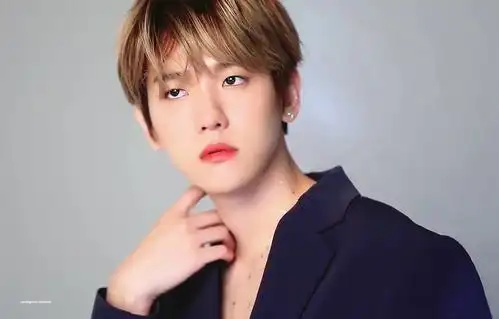 #边伯贤# #baekhyun# #exo#壁纸 背景 头像 …-堆糖,美好生活研究所