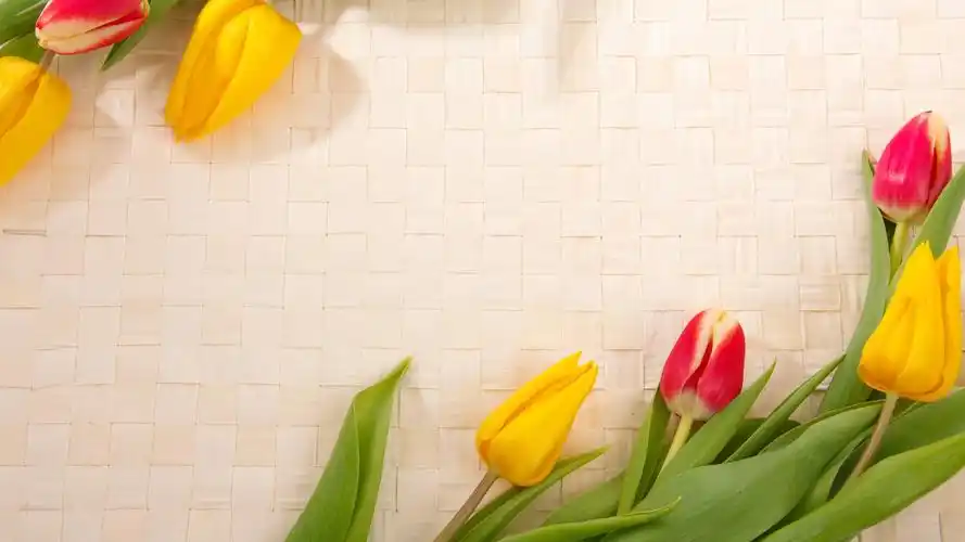 简约淡雅 放在竹编背景上的郁金香背景图片壁纸