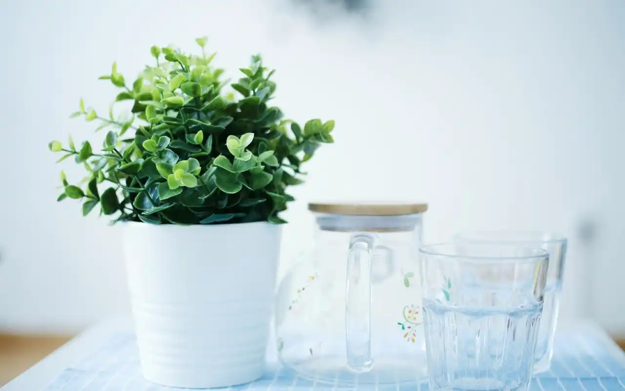 室内小清新唯美静物图片高清桌面壁纸