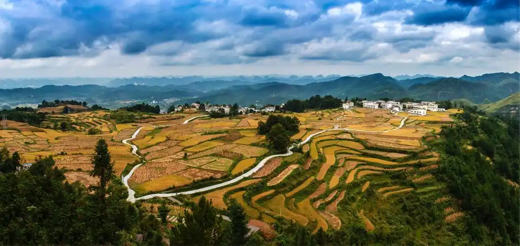 高坡—云顶草原