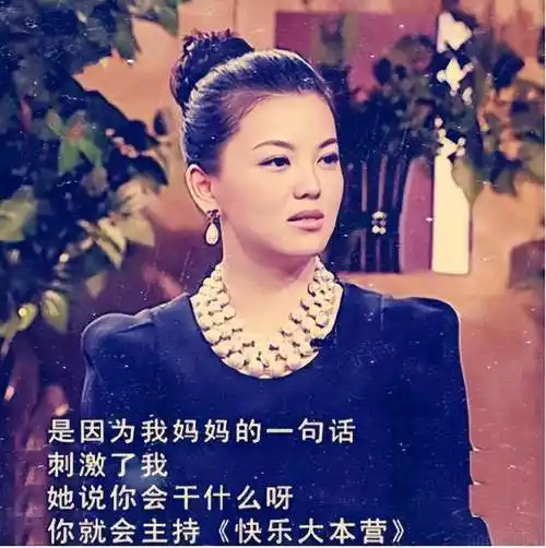 李湘突然官宣退休,透露3愿望,网友:70套房的人生,爽文女主!_工作_房子