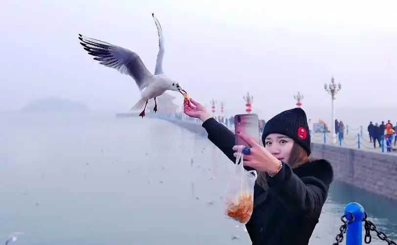 请假一段时间为此上一贴《喂海鸥的美女》外出大概20