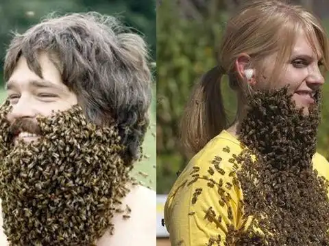 头皮发麻心悸出汗……密集恐惧症的人到底是不是矫情