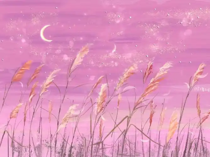 唯美治愈背景图夏日秘密侵权删