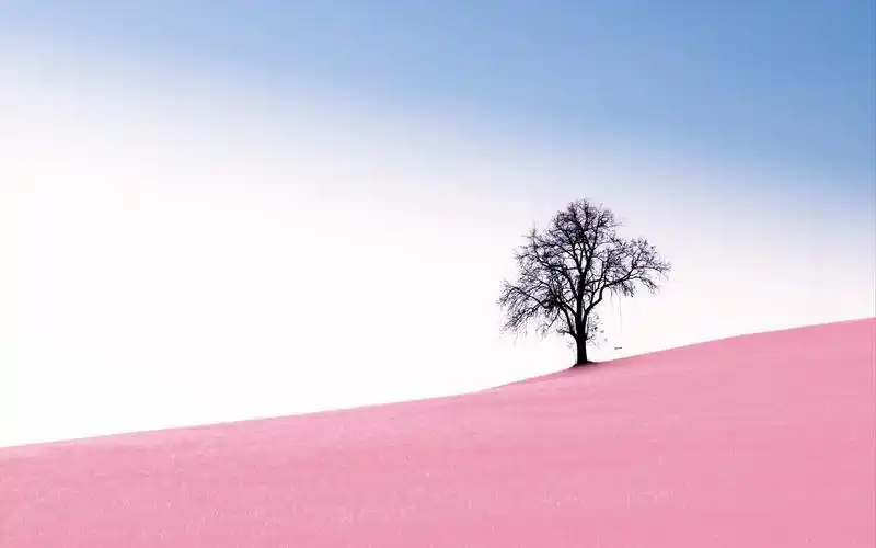 超清绝美自然风景图片电脑壁纸.想要更多高清桌面壁纸,关注美桌网,美