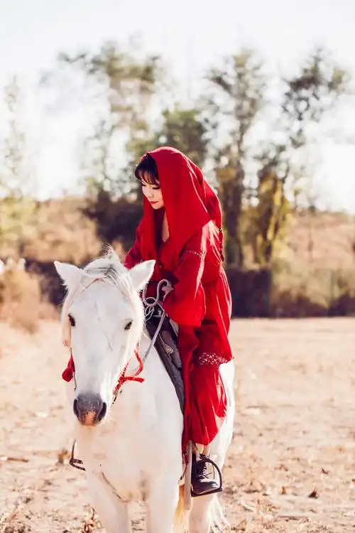 身骑白马走三关