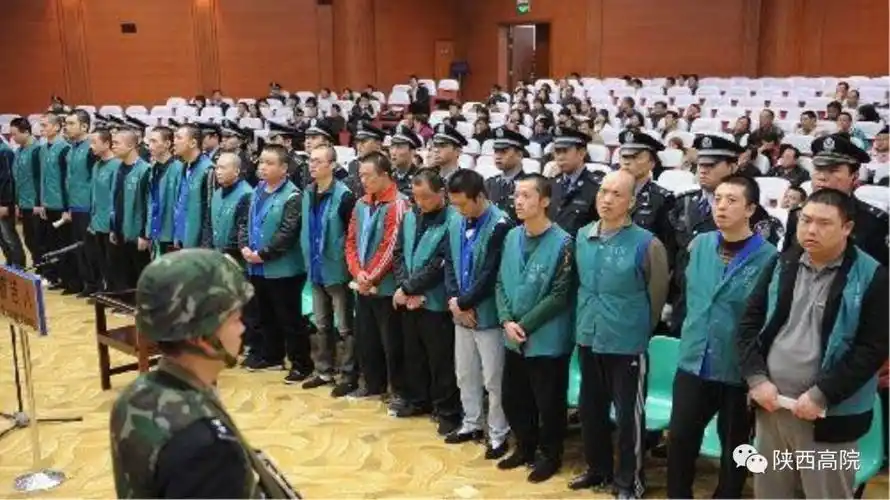 1990年依法审结"魏振海等故意杀人案",判处魏振海及其同伙谢峰,王玉安