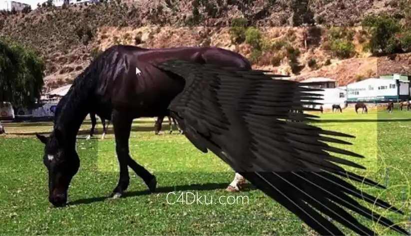 c4d实拍场景结合制作马翅膀的绑定特效实例