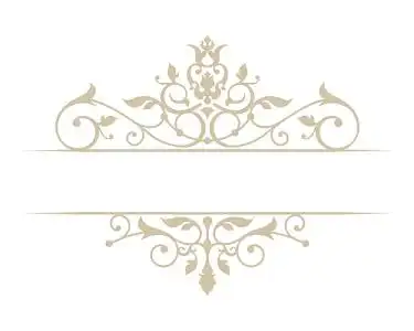 金色欧式花纹边框矢量图