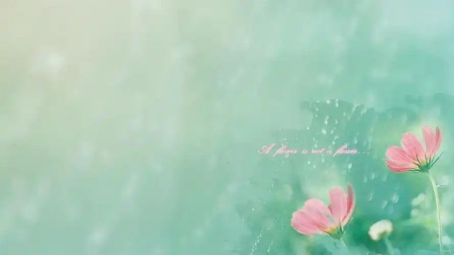 电脑桌面壁纸简约文艺电脑桌面壁纸文艺