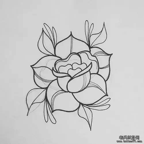 线条花朵纹身手稿