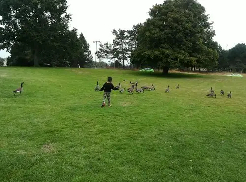 我的加拿大之旅(三)