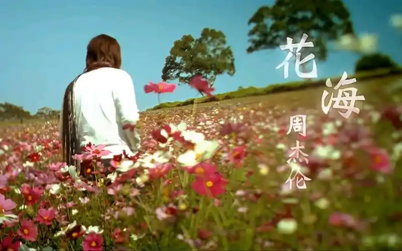 周杰伦《花海》有多少人是一开始就喜欢这首歌的