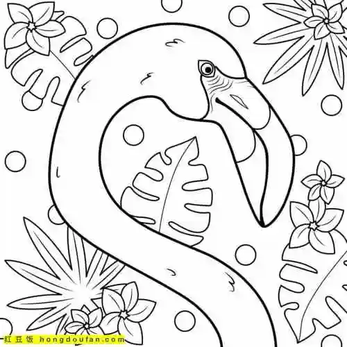 8张适合4到10岁孩子们绘画的火烈鸟卡通儿童简笔画