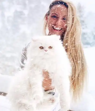 27岁金发女孩和她的波斯猫环游世界,画风好美!