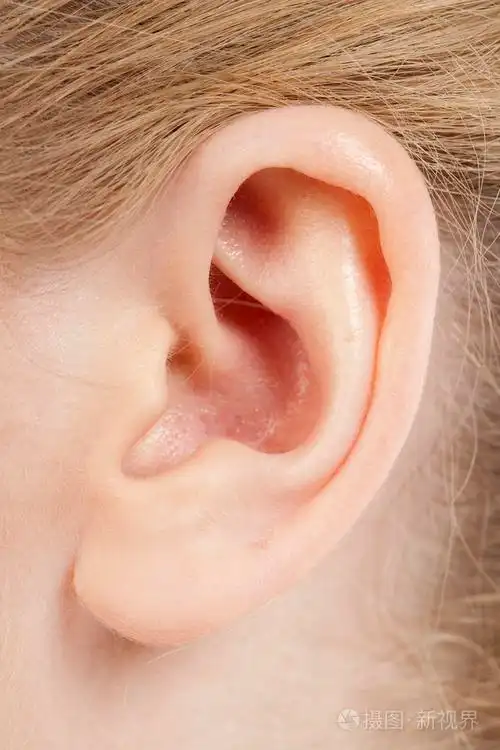 女性的耳朵