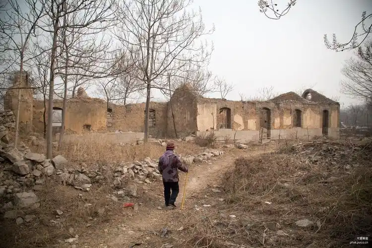 先从这7间老瓦房说起吧!这是村里五十年代建设的村委办公室,在当时来.