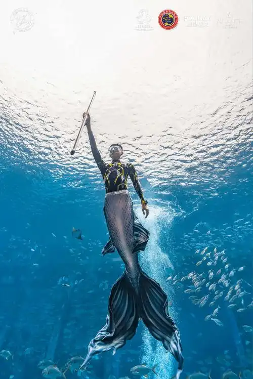 首届中国美人鱼表演赛##唯美人鱼潜入人间