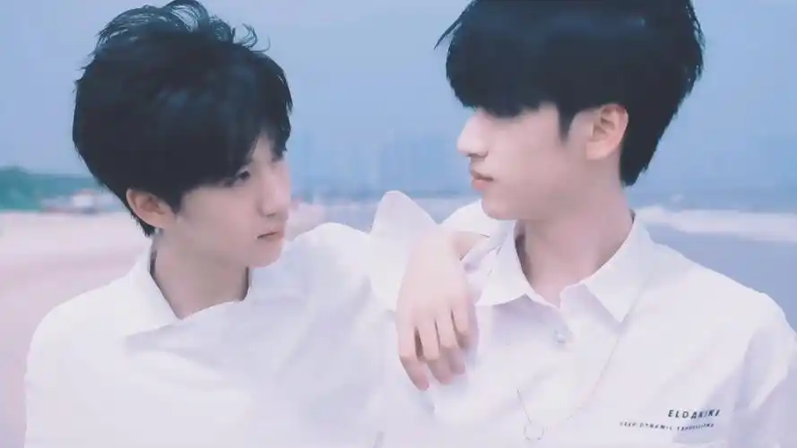 有哪些适合严浩翔和贺峻霖的歌