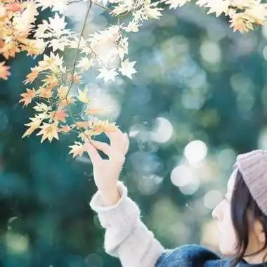 森系少女图片清新头像唯美治愈系女生微信头像图片