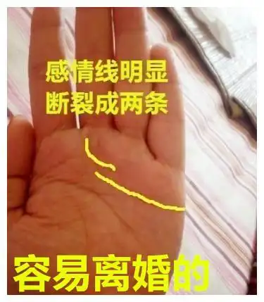 聚财能力也不错,要懂得把握机遇|手相|财运|婚姻线_新浪新闻