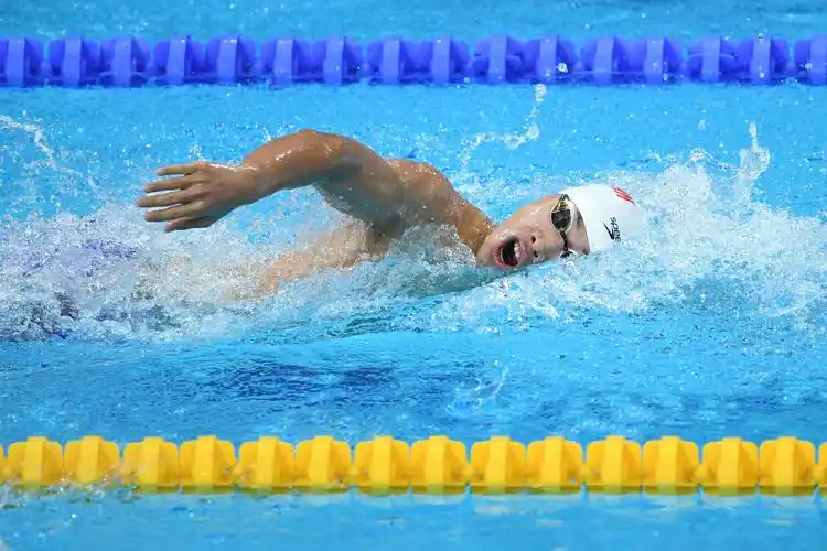 游泳——男子800米自由泳预赛赛况