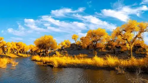 遇见最美的秋色 - 美篇