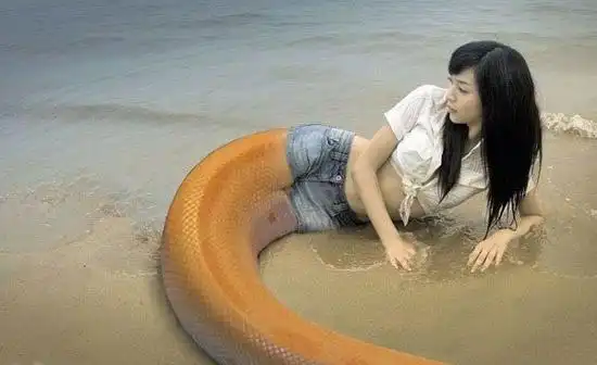 美人鱼上岸后就变成了蛇女子了男人们小心了