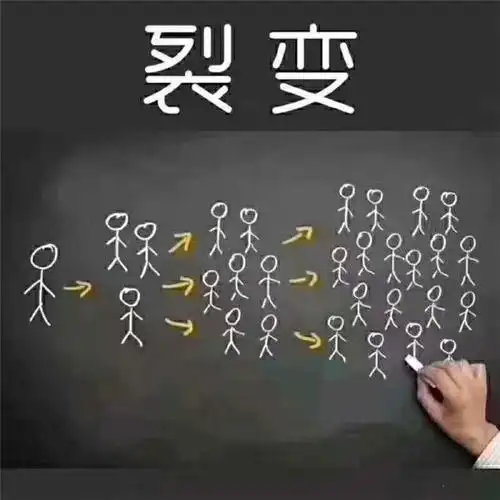 裂变源码(图)-域名防封视频裂变-潍坊市视频裂变