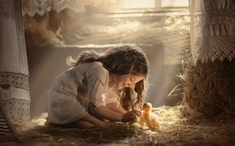 壁纸 快乐的小女孩和小鸭子