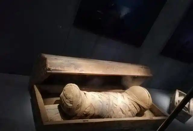博物馆惊现埃及木乃伊?怀孕美女和小孩,胆小的人不敢看!