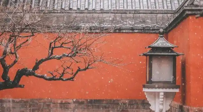 红墙白雪琉璃瓦雪中故宫美如画
