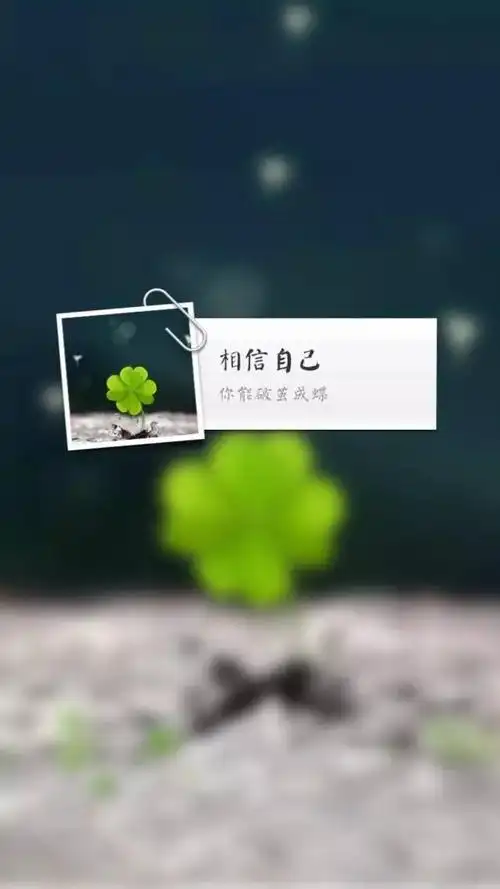 文字控正能量文字手机壁纸