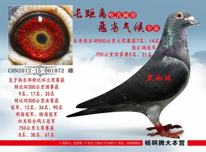 >> 查看拍卖商品