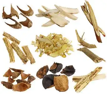 干中药的分类