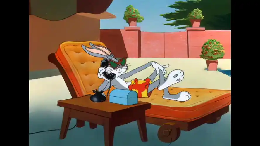 【兔八哥】你好老兄