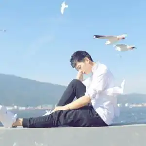 海鸥眷恋大海头像