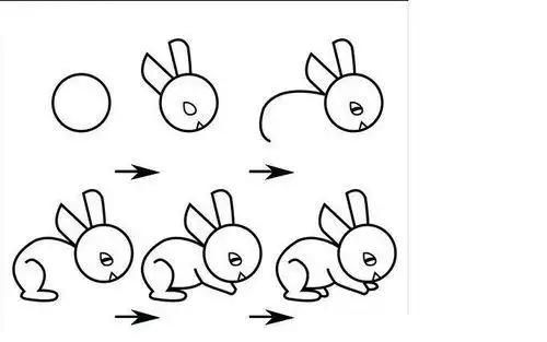 怎么画兔子 小白兔简笔画步骤图512百度知道