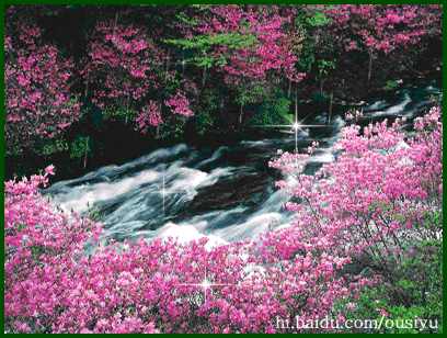 动态风景(图组) - 蓝蝴蝶 - 蓝蝴蝶的博客